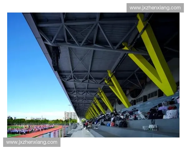 体育文化研究院：探索体育与文化融合发展的新路径与创新模式